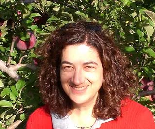 Sara J Schechner